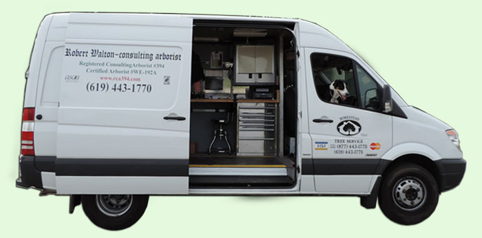 Arborist Van with equipment